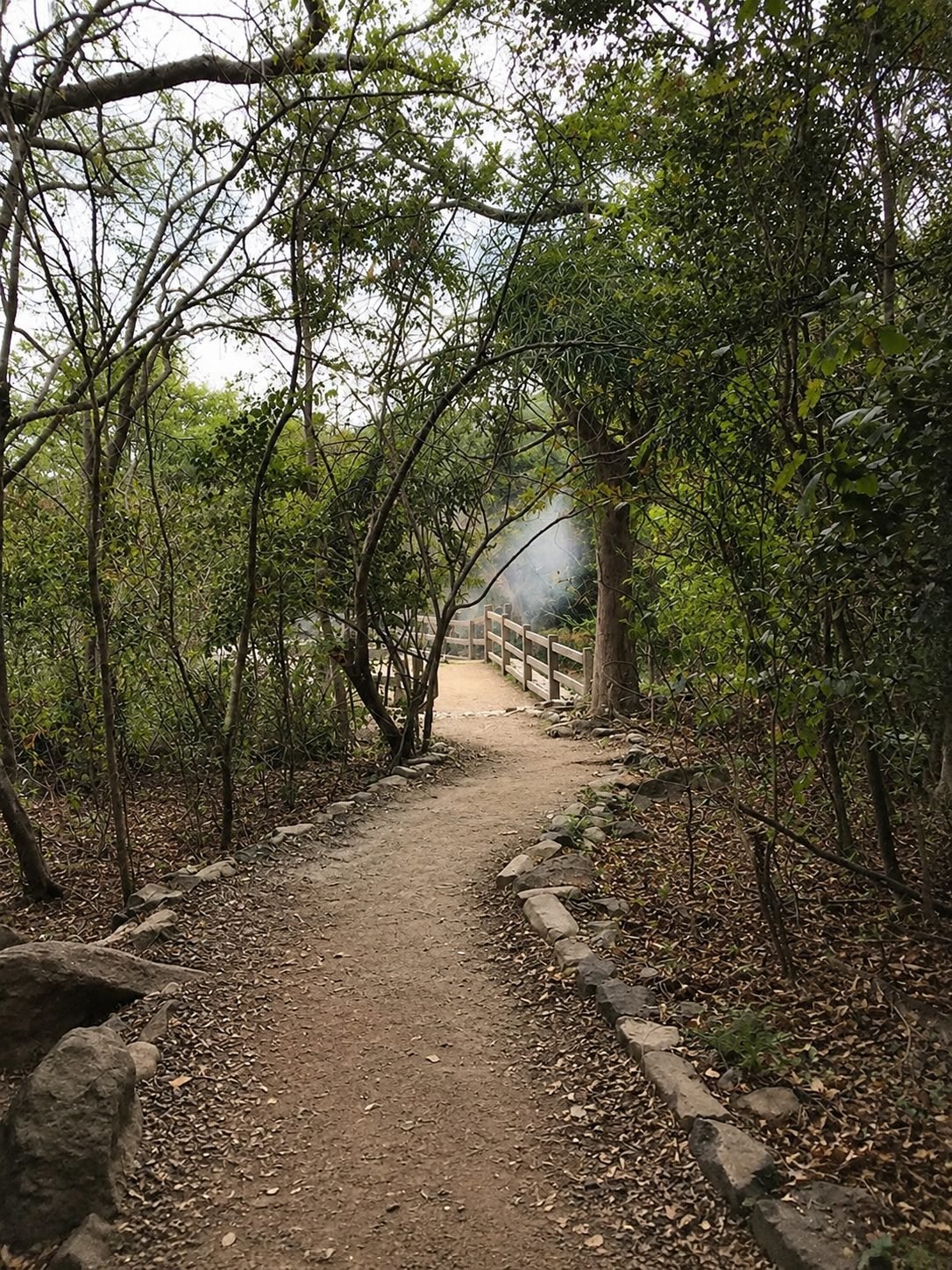 Trail leading to the beach in Flamingo, Costa Rica
